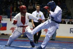 Отличительные черты экипировки для единоборств