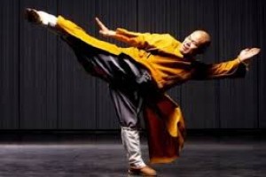 Китайские единоборства