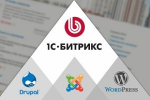 Перенос сайта и магазина на Битрикс