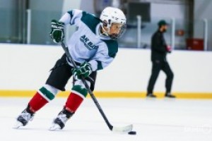 Тренировки хоккейные