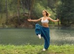 Цигун: Внутренняя гимнастика для здоровья и гармонии