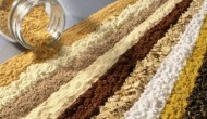 Минеральные добавки для животных как ключ к продуктивности и здоровью