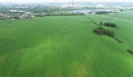 Продажа земельных участков на zvka ru официальный сайт для выгодной покупки